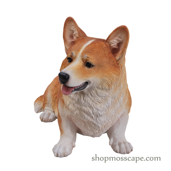 Sitting Welsh Corgi