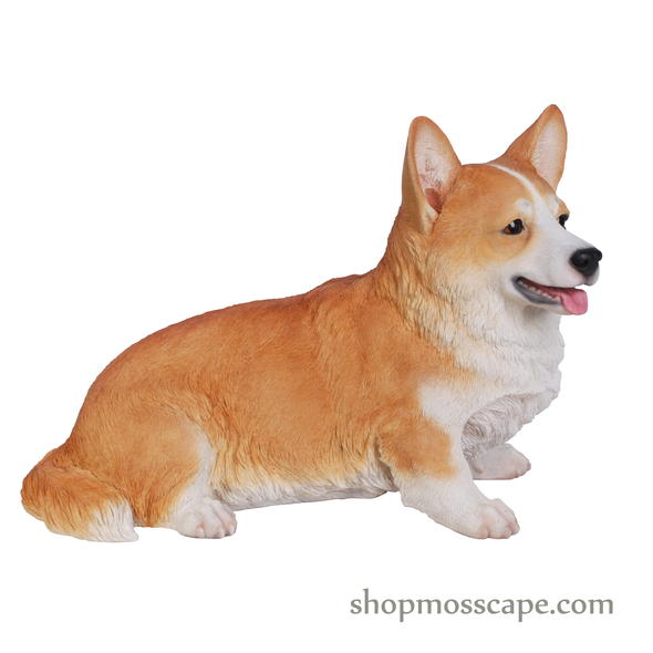 Sitting Welsh Corgi