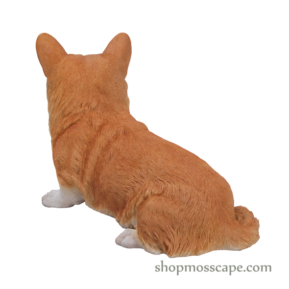 Sitting Welsh Corgi