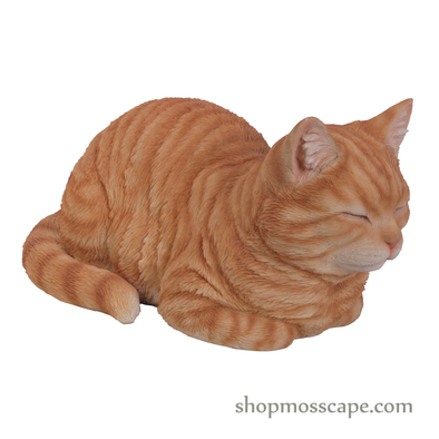 Sleeping Ginger Tabby Cat