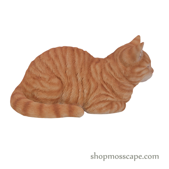 Sleeping Ginger Tabby Cat