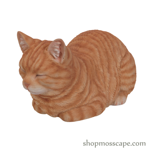 Sleeping Ginger Tabby Cat
