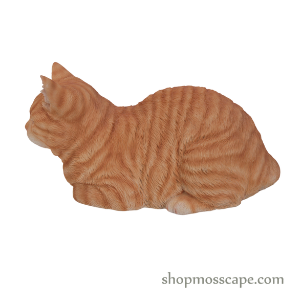 Sleeping Ginger Tabby Cat