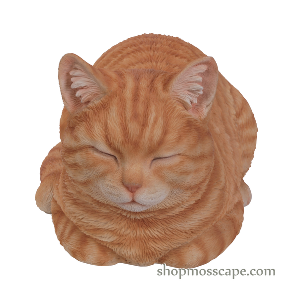 Sleeping Ginger Tabby Cat