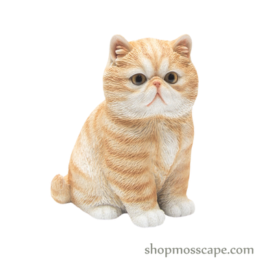 Squating Garfield Cat