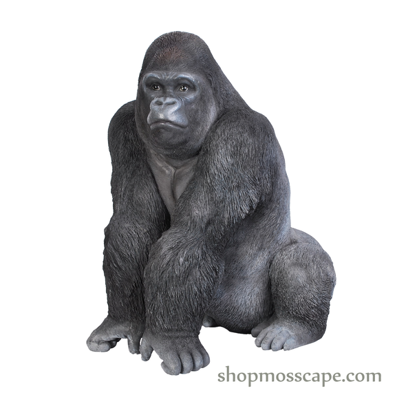 Squating Gorilla