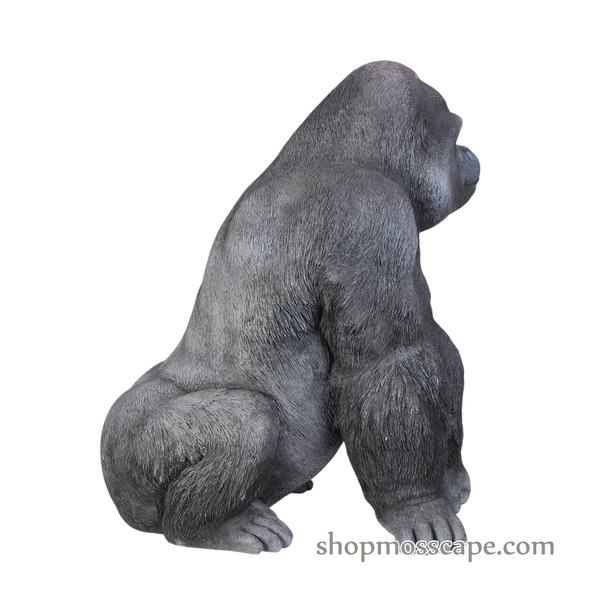 Squating Gorilla