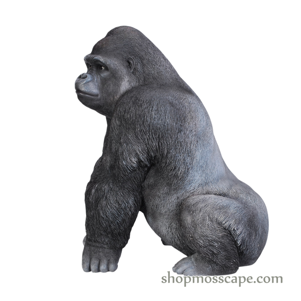 Squating Gorilla