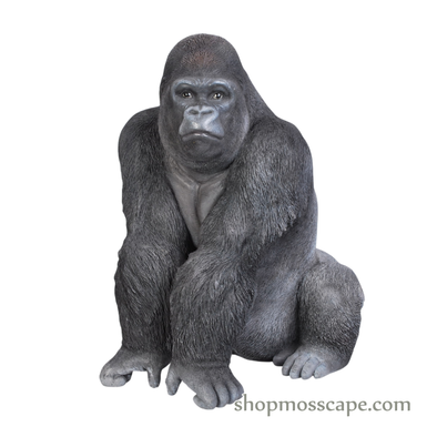 Squating Gorilla