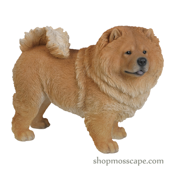 Standing Chow Chow