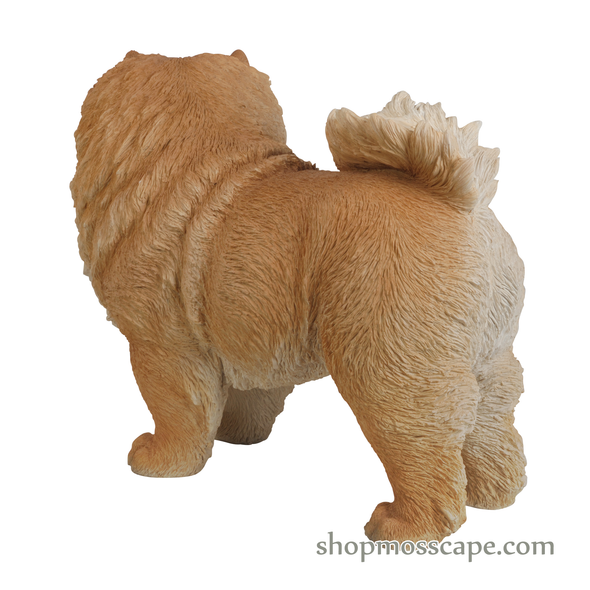 Standing Chow Chow