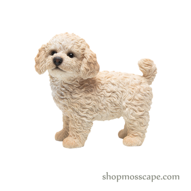 Standing Poodle Puppy
