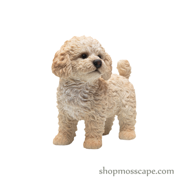 Standing Poodle Puppy