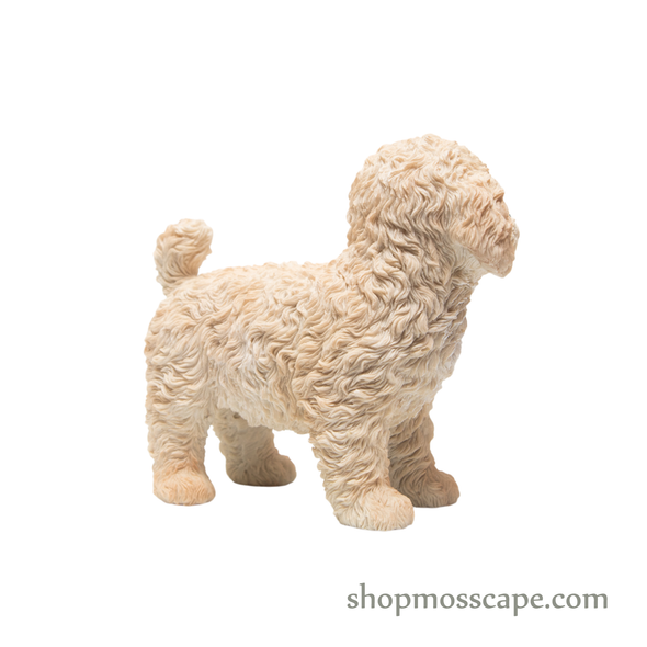 Standing Poodle Puppy