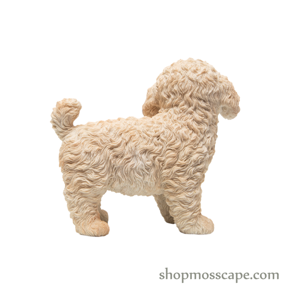 Standing Poodle Puppy