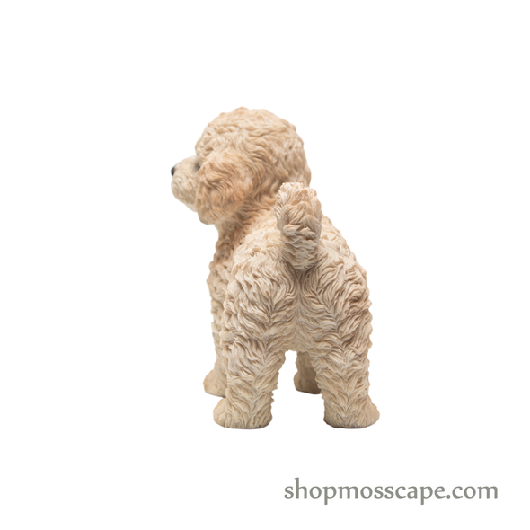 Standing Poodle Puppy
