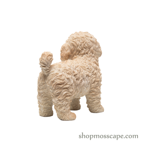 Standing Poodle Puppy