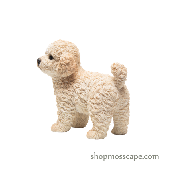 Standing Poodle Puppy