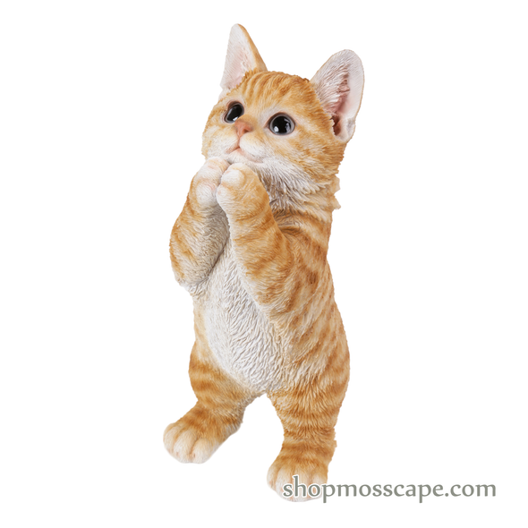Praying Cat (brown)