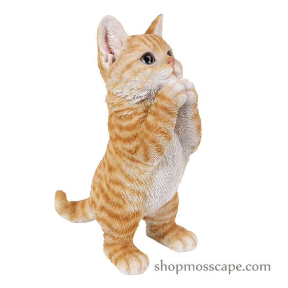 Praying Cat (brown)
