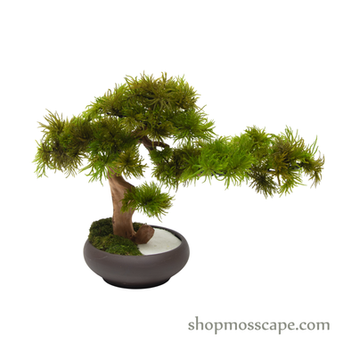 Preserved Tree Moss | PP (5805 TM)
