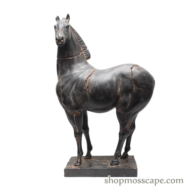 Tang Ma Black Horse