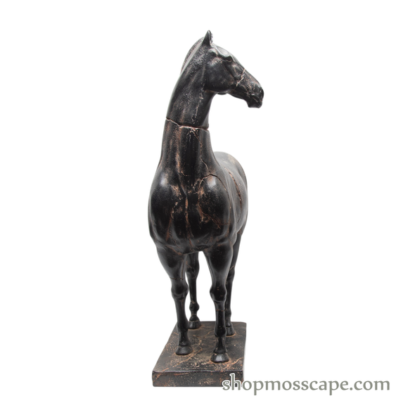 Tang Ma Black Horse