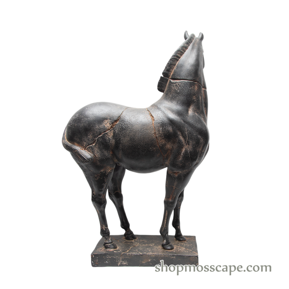 Tang Ma Black Horse