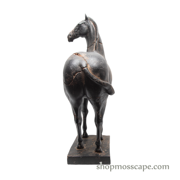 Tang Ma Black Horse