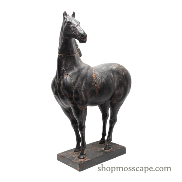 Tang Ma Black Horse