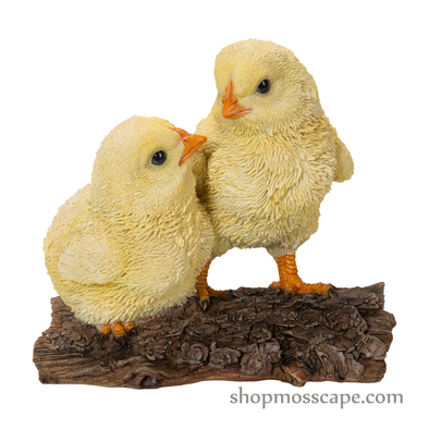 Two Chicks on Wooden Stump
