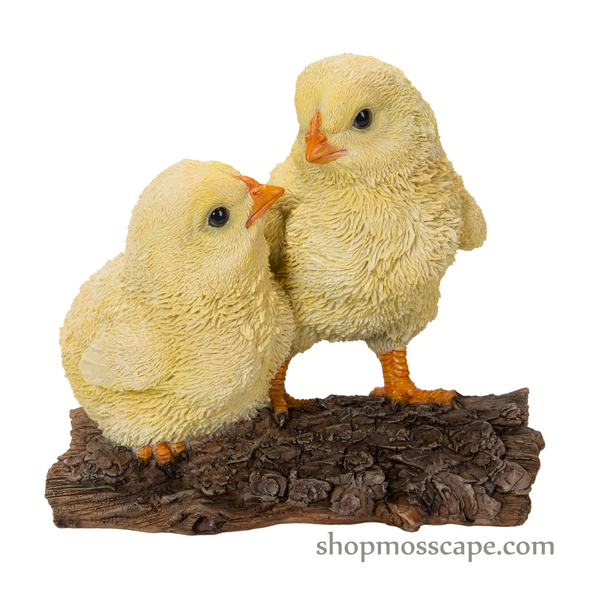 Two Chicks on Wooden Stump