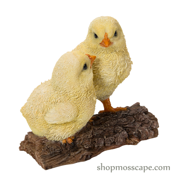 Two Chicks on Wooden Stump