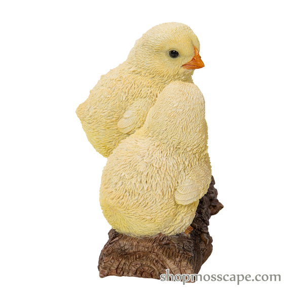 Two Chicks on Wooden Stump
