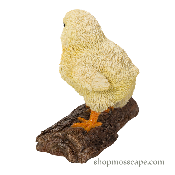 Two Chicks on Wooden Stump