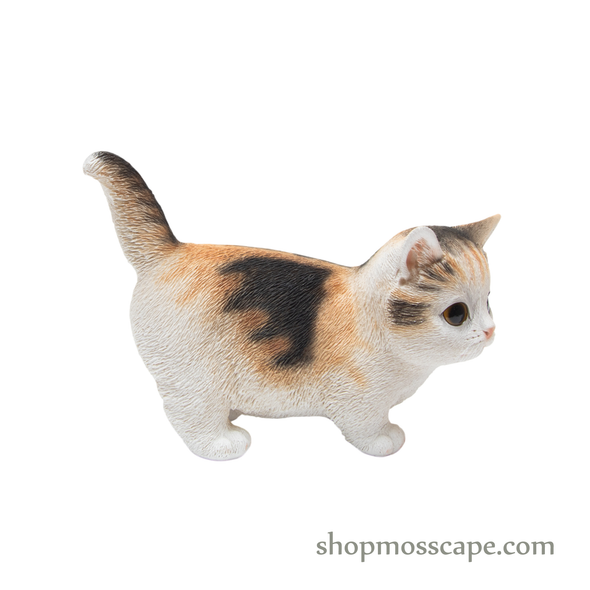 Walking Munchkin Cat
