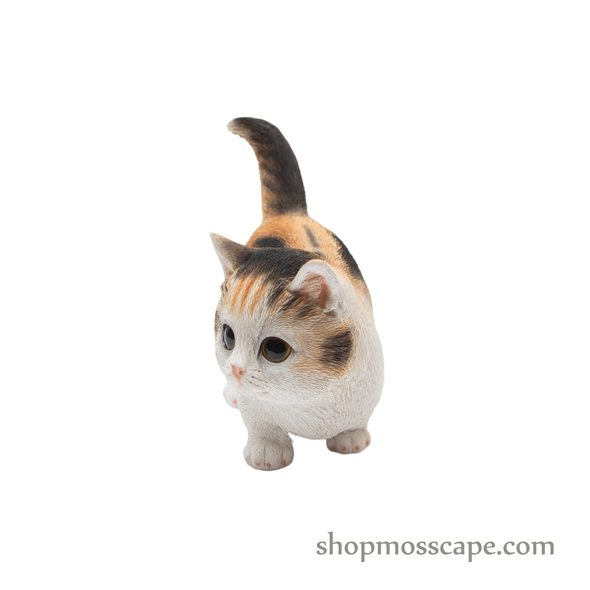 Walking Munchkin Cat