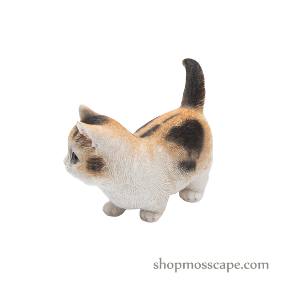 Walking Munchkin Cat