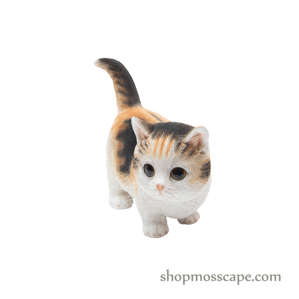 Walking Munchkin Cat
