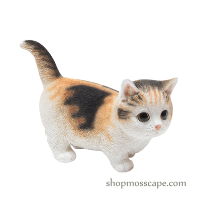 Walking Munchkin Cat