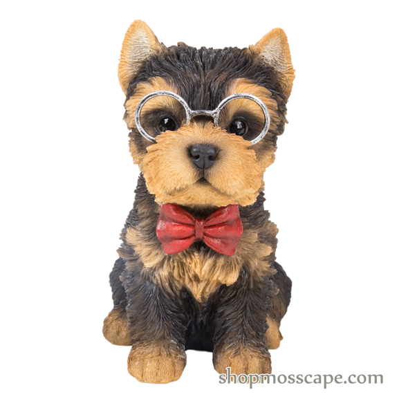 Sitting Yorkshire puppy with tie and metal glasses (small)