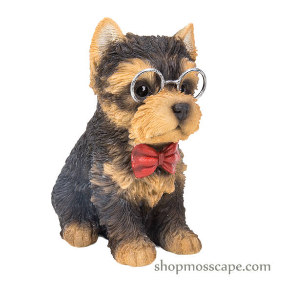 Sitting Yorkshire puppy with tie and metal glasses (small)