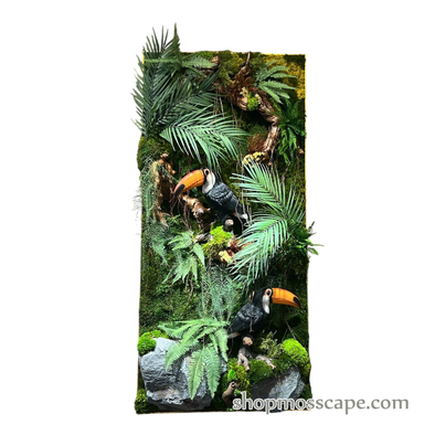 Twin Toucans in Tropical Canopy