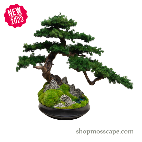Garden of Free Flow | Bonsai-scape (4-037 w/ MF)