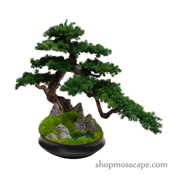 Garden of Free Flow | Bonsai-scape (4-037 w/ MF)