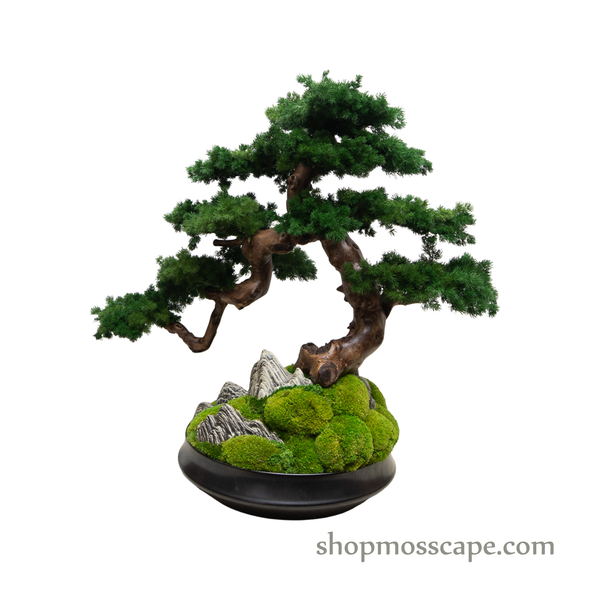 Garden of Free Flow | Bonsai-scape (4-037 w/ MF)
