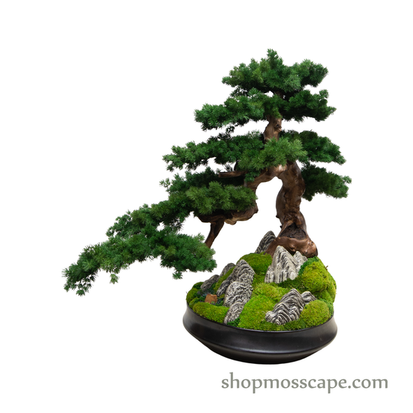 Garden of Free Flow | Bonsai-scape (4-037 w/ MF)