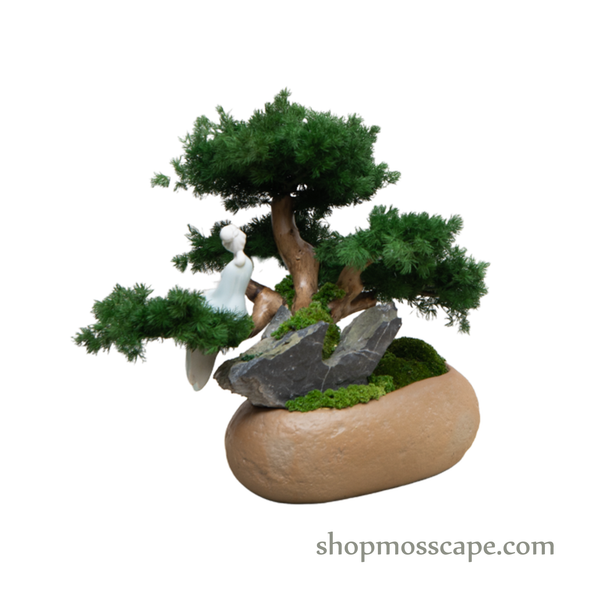 Tranquil Mediation | Bonsai-scape (4-051 w/ MF)