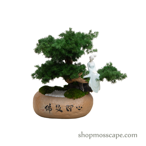 Tranquil Mediation | Bonsai-scape (4-051 w/ MF)