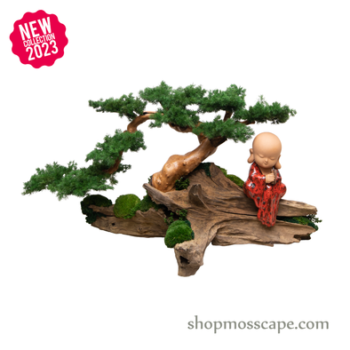 Wisdom Zen on Tree | Bonsai-scape (4-059 w/ MF)